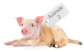 schweinehund